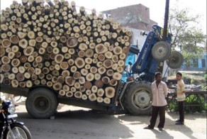 Подборка автомобильных аварий и курьезов (96 фото)