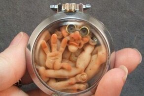 Прекрасные фото