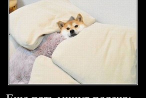 Смешной демотиватор от zubrilov за 14.12.2011 №97250