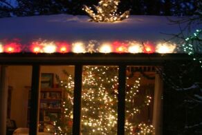 Фотоприкол дня