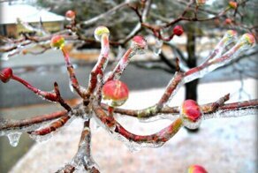 Новый фотоприкол