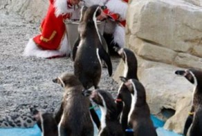 Фото прикол