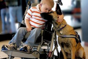 Малыш Лукас и его преданный пес (17 фото)