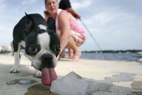 Крутые фотки