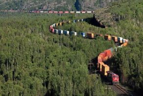 Шикарное фото