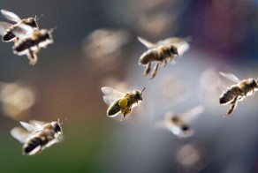 Прикол картинка