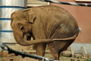 Юмор прикол