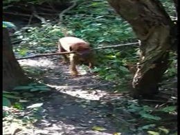 Подборка роликов от 20.10.2011