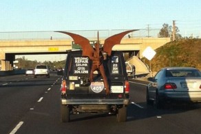 Улетное фото