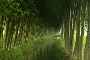 Шикарное фото