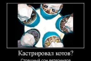 Смешной демотиватор от zubrilov за 13.01.2012 №99704