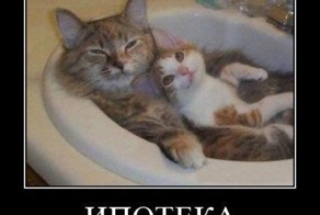 Смешной демотиватор от zubrilov за 13.01.2012 №99706