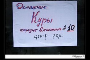 Смешной демотиватор от zubrilov за 13.01.2012 №99805