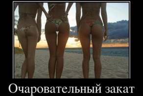 Смешной демотиватор от zubrilov за 13.01.2012 №99820