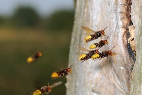Зачетное фото