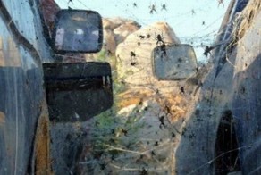 Фотоприкол фото