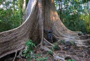 Юмор прикол