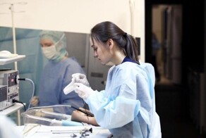 Ну какие же умнички