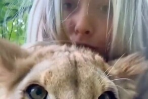 Смотреть онлайн