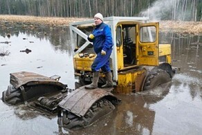 Смотреть онлайн