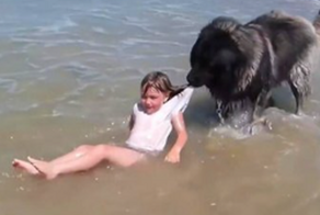 Смотреть онлайн