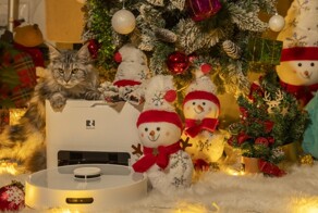 Новогодняя распродажа пылесосов Redroad со скидками до 67%