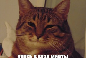 Куда пойти учиться после школы в 2025 году