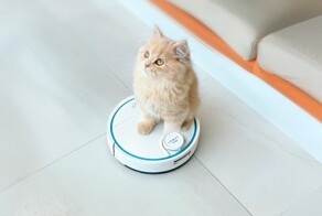  Роботы Hobot с реальной скидкой в честь Черной пятницы