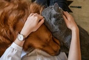 Благодаря 110 москвичам, случилось «новогоднее чудо»