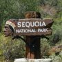  Национальный парк Секвойя