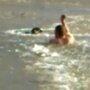 Спасая бездомную собаку, парень бросился в ледяную воду