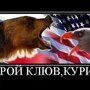 О глумлении нашего СУ - 24 над американским эсминцем "Дональд Кук"