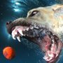 Подводные съемки собак
