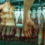 Лондонский магазин человеческого мяса (6 фото)
