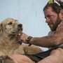 Бездомная собака прибилась к участникам Чемпионата мира 