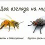 Крaткaя притчa о пчеле и мухе
