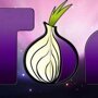 В Думе предложили ввести досудебную блокировку Tor