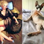 Девушки и Котики