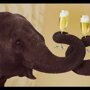 Алкоголь для слонов зимой! Даже слоны в России пьют водку