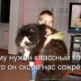 Рассказ про кота-обжору