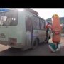  Прикол!Сосиска опоздала на автобус 