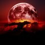 В выходные люди смогут наблюдать редкое астрономическое явление "Кровавую" Луну