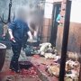 Убийство собак в Китае ради шкур