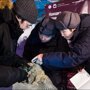 В Якутии обнаружили останки детенышей пещерного льва