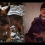 Россия подарила Франции щенка "Добрыню" 