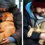 45 фотографий, доказывающих, что собаки любят нас бескорыстно 