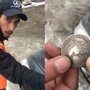 Развод