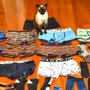 В Новой Зеландии кошка два месяца воровала нижнее белье у соседей