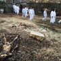 Тихий урожай: Зачем ученым нужны фермы трупов