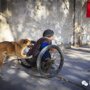 Жена с хвостом: каждое утро эта собака катит коляску с инвалидом на городской базар